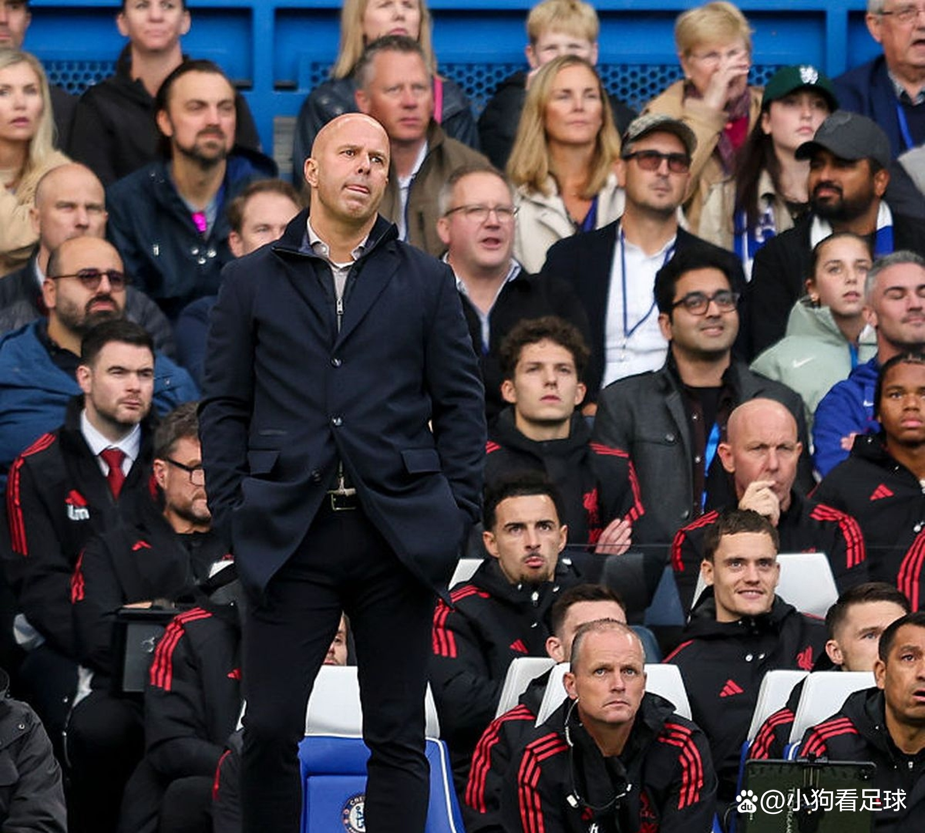 利物浦球员遭遇伤病困扰，缺席下一场比赛