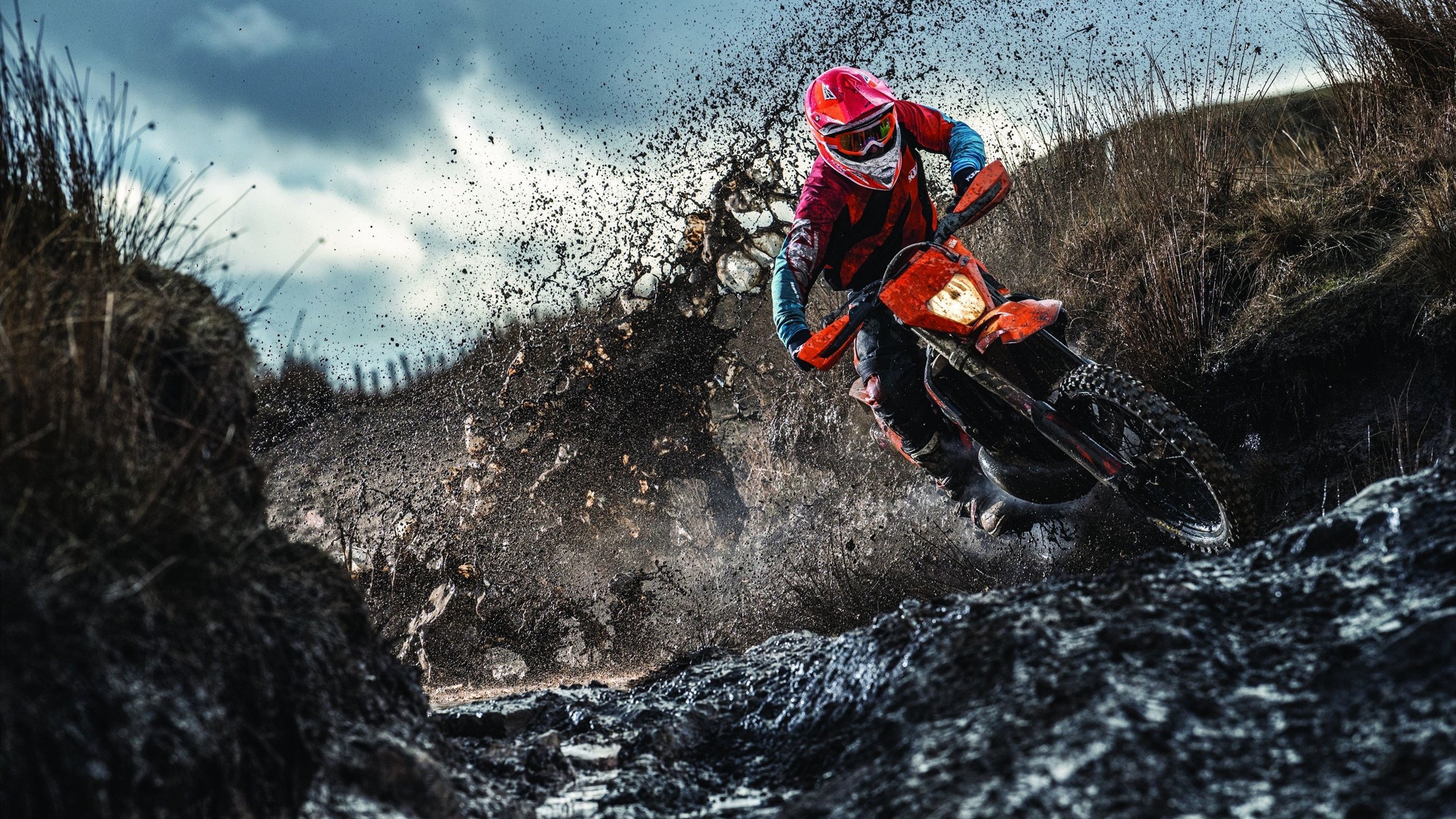 IM体育官网-从蒙特卡洛到温网，穆雷的逆转之火如何点燃赛场灵魂