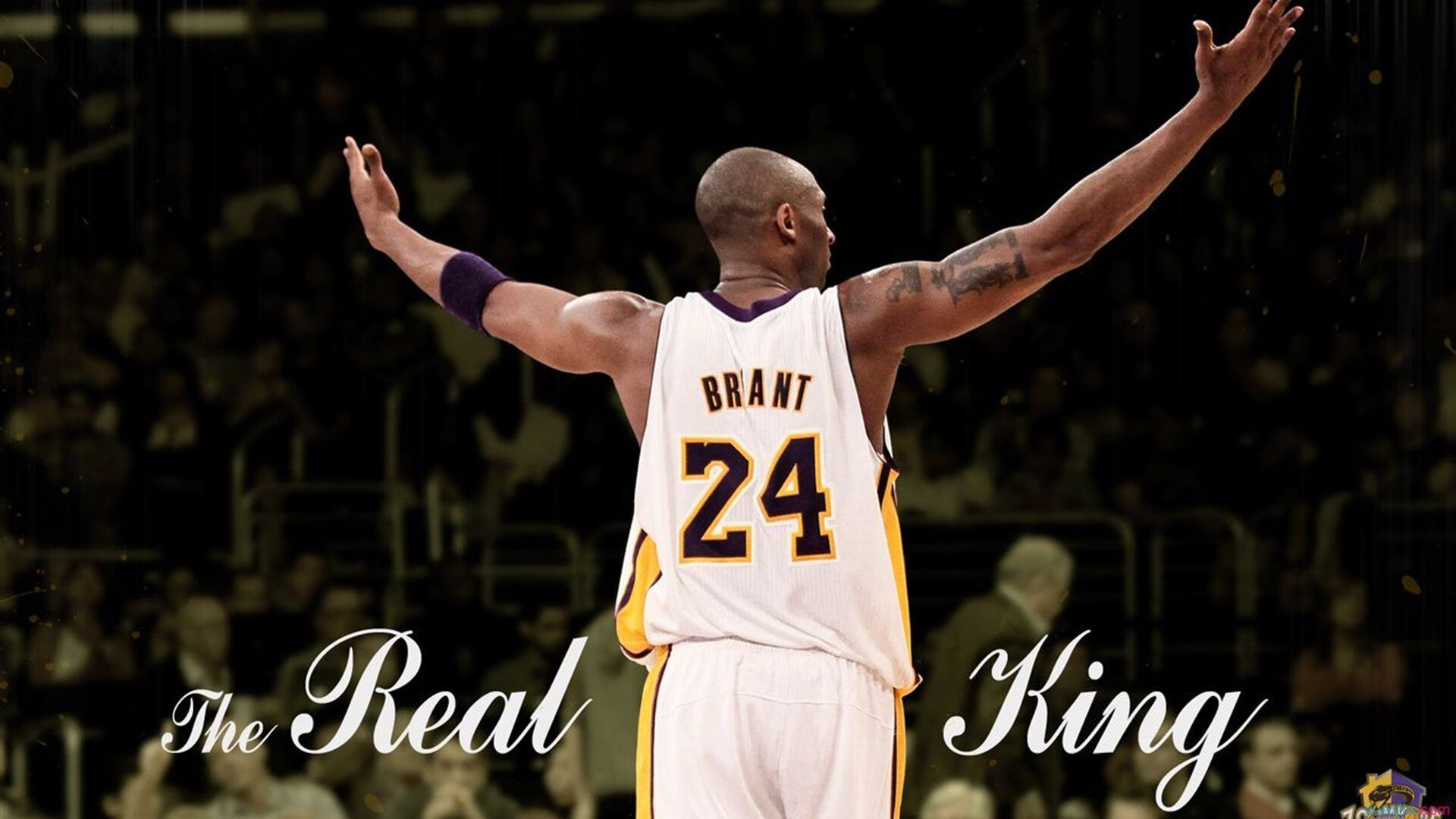 IM体育App下载-数据之巅，库里统治力全开，火箭升空奇才陨落